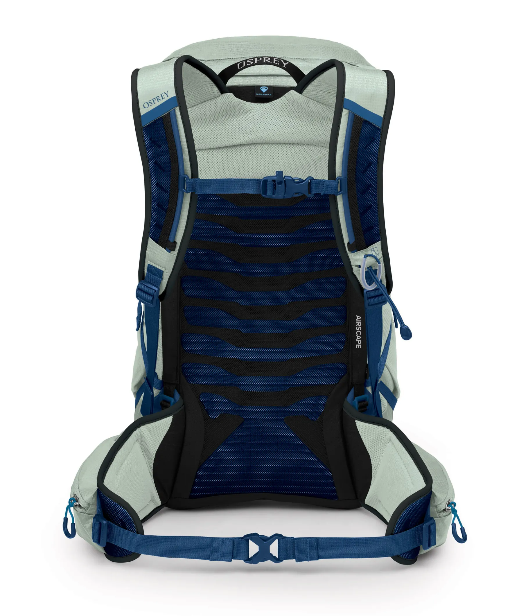 Talon 26