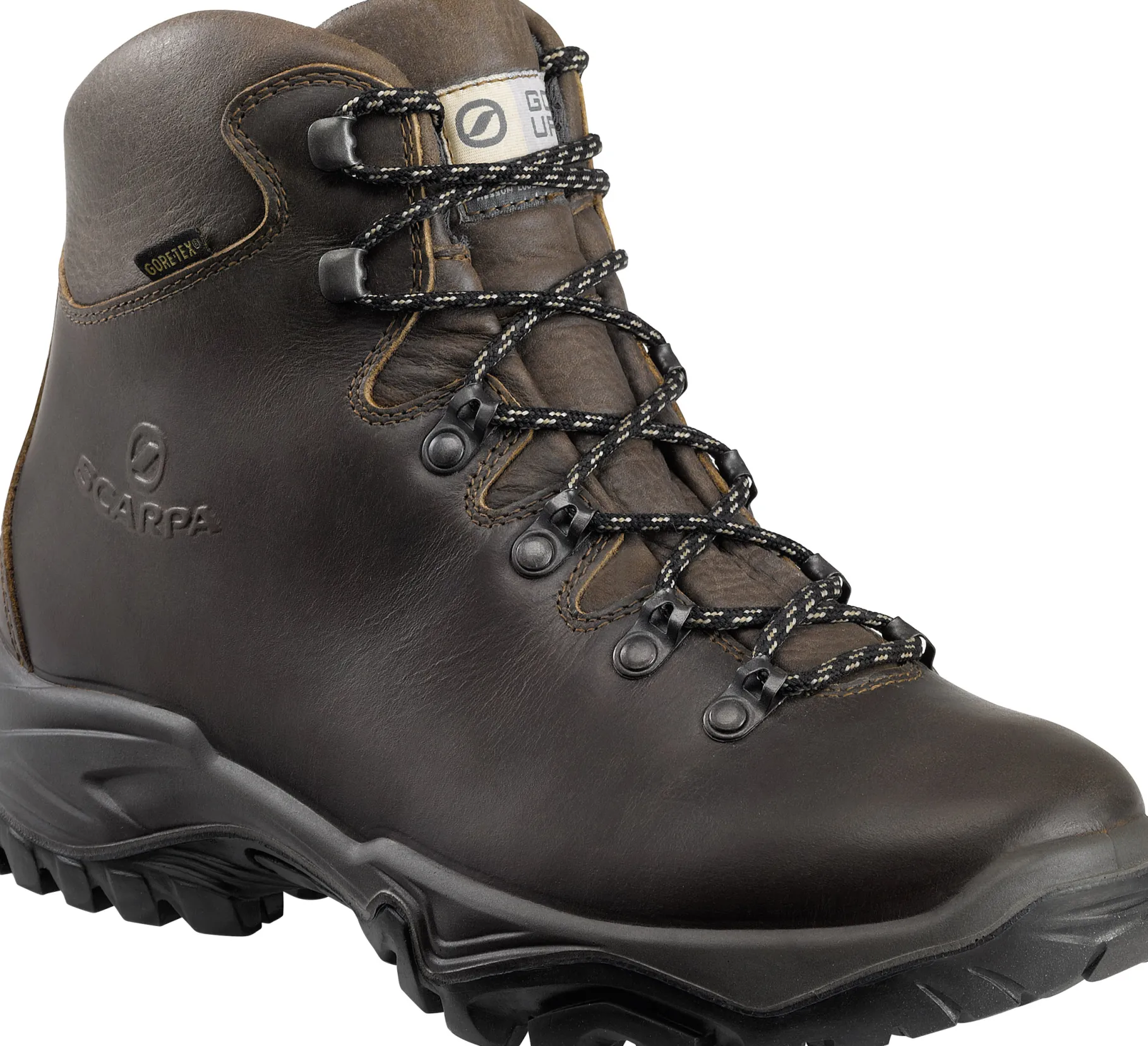 Terra GTX Dame