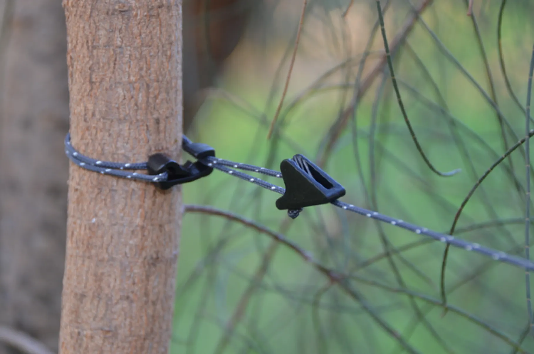 The Clothesline