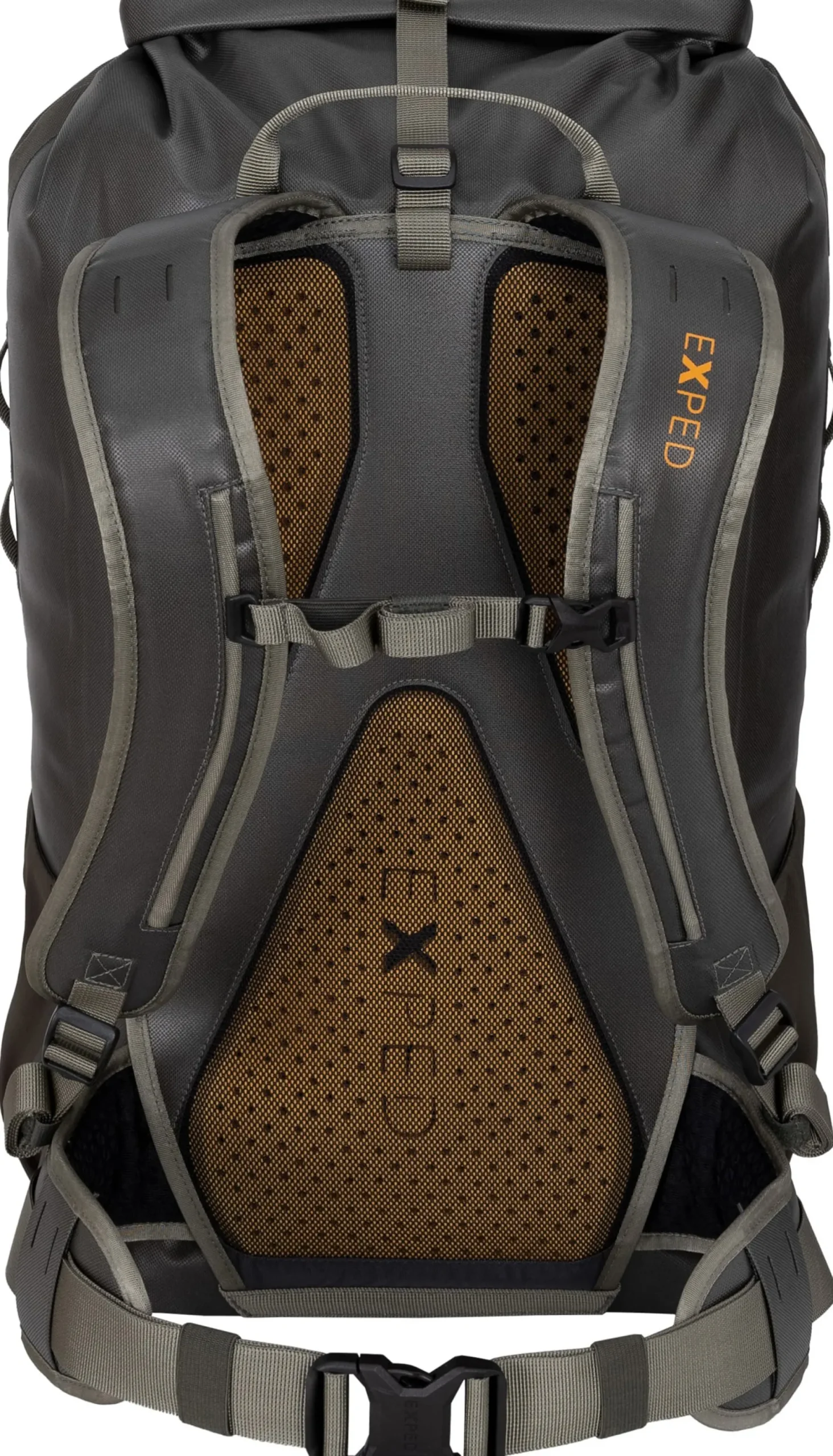 Torrent 30