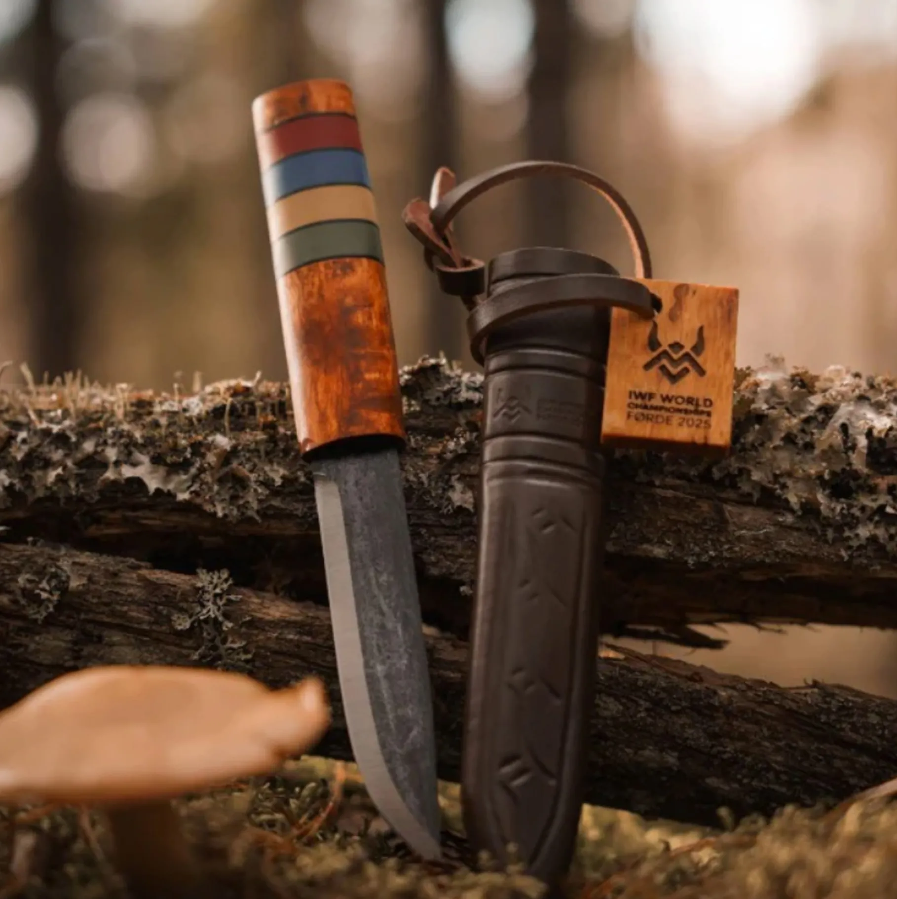 Viking Classic Knife - WWC 2025 Special Edition