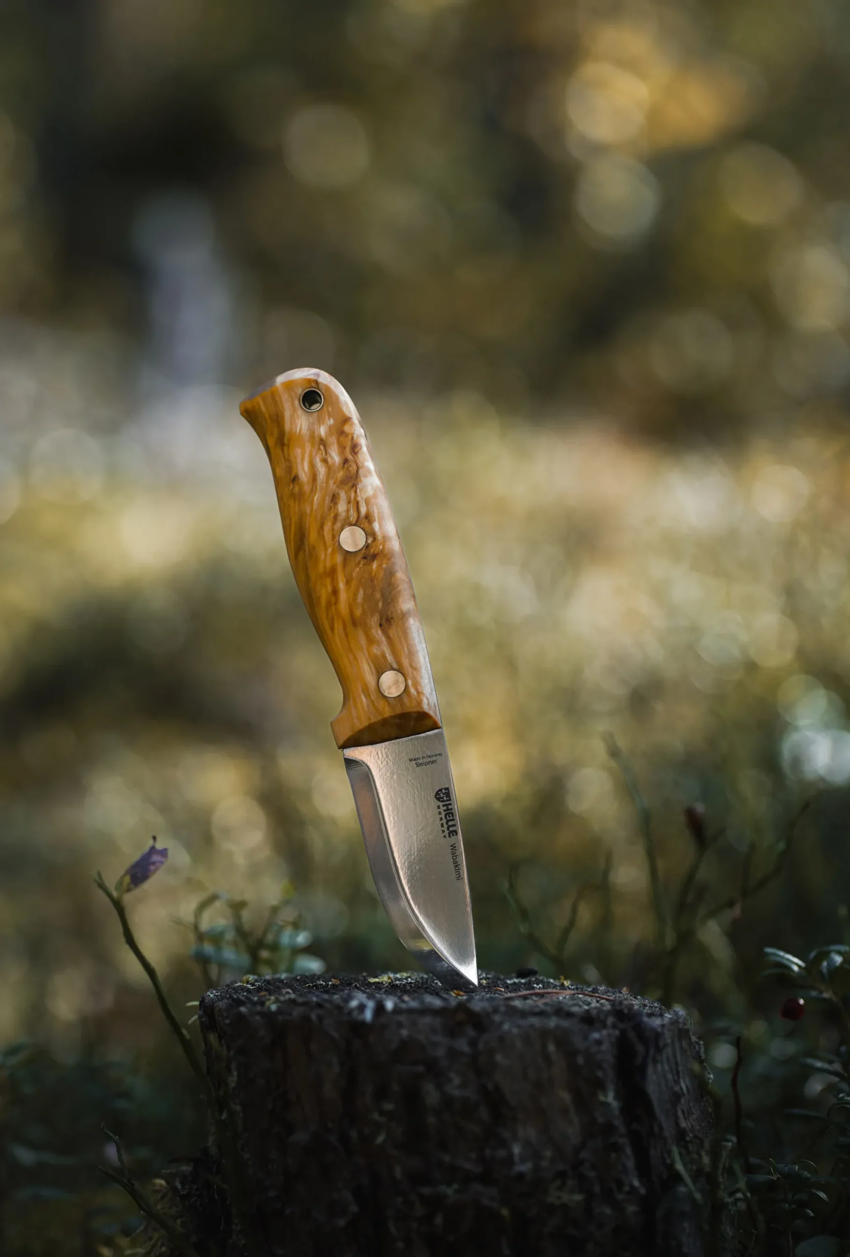 Wabakimi Sleipner Full Tang Knife